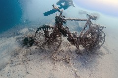 Click to enlarge

WeDive - Egipt-2021