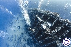 Click to enlarge

WeDive - FamousFive