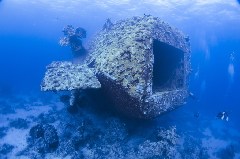 Click to enlarge

WeDive - FamousFive