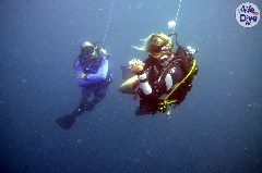 Click to enlarge

WeDive - Maldive-2019