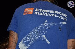 Click to enlarge

WeDive - Maldive-2019