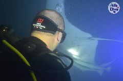 Click to enlarge

WeDive - Maldive-2019