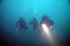 Click to enlarge

WeDive - Malyutka