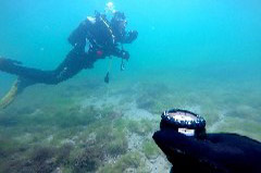 Click to enlarge

WeDive - MareaNeagra