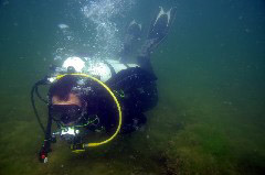 Click to enlarge

WeDive - MareaNeagra