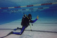 Click to enlarge

WeDive - Piscina