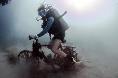 Click to enlarge

WeDive - Scuba-Girls