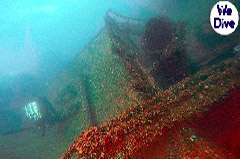 Click to enlarge

WeDive - YouXiu