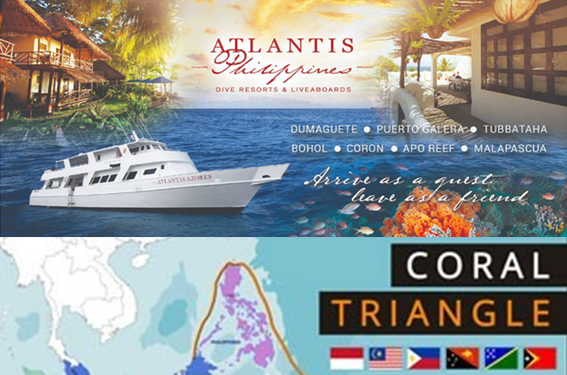 Excursie de scufundari Filipine - Coral Triangle - 18.10.2025  - 31.10.2025 <br>